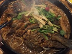 -老板恋上鱼(高新万达店)