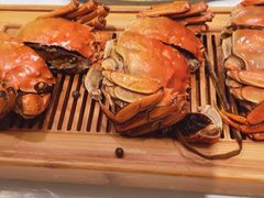 -小厨娘淮扬菜(板桥一店)