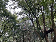 -WeLope紫金山探险公园