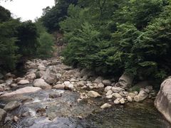 -青峰峡国家森林公园