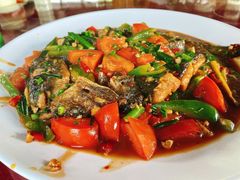 遇龙河剑骨鱼—阳朔特色啤酒鱼-生态苑农庄(十里画廊遇龙河店)