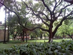 -广州都市观光巴士(粤陶巴)