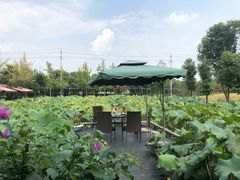 -洪湖家庭农场·团建·露营·会议
