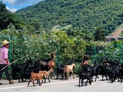 -苍山世界地质公园·石门关大峡谷