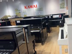 -柏斯音乐艺术中心·钢琴·吉他(世纪金源店)