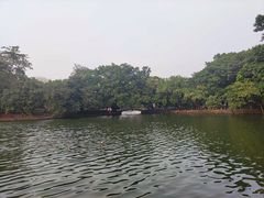 -荔湾湖公园