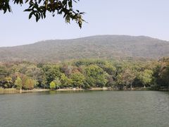 -紫霞湖公园