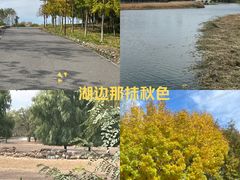 -北京麋鹿生态实验中心