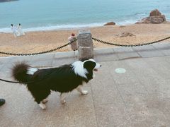 -青岛第三海水浴场