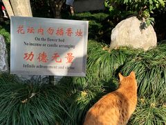 -龙华寺