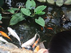 -上海昆虫博物馆