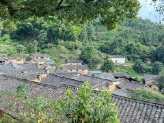 -杨家堂村