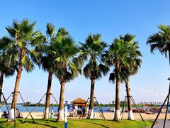 -柳湖沙月沙滩公园