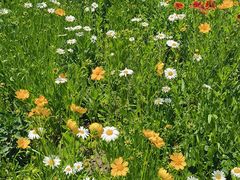 -济南国际园博园