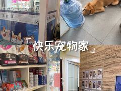 -芭比堂动物医院·心脏专科·夜诊·吉雅分院