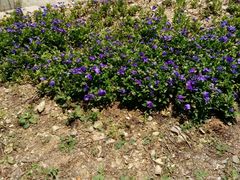 -漩门湾国家湿地公园