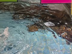 -79号渔船海鲜饭店(宝安店)
