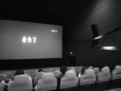 -天幕新彩云国际影城(激光巨幕店)