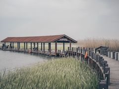 -太湖湖滨国家湿地公园-停车场