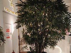 -ins森林童话餐厅coffee&bistro