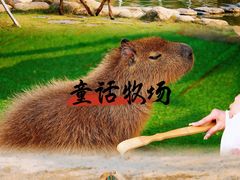 -盈香心动乐园