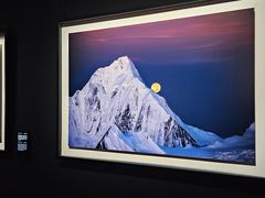 -罗红摄影艺术馆