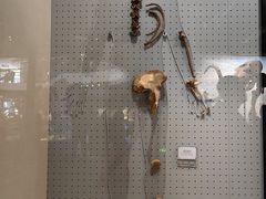 -辽宁古生物博物馆