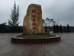 -东寨港红树林旅游区