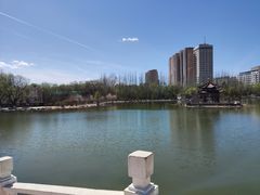 -青城公园