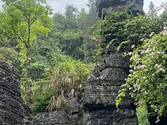 -梭布垭石林景区