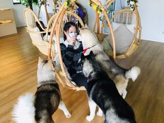 -Husky Go! 哈士奇体验馆·宠物咖啡厅狗咖