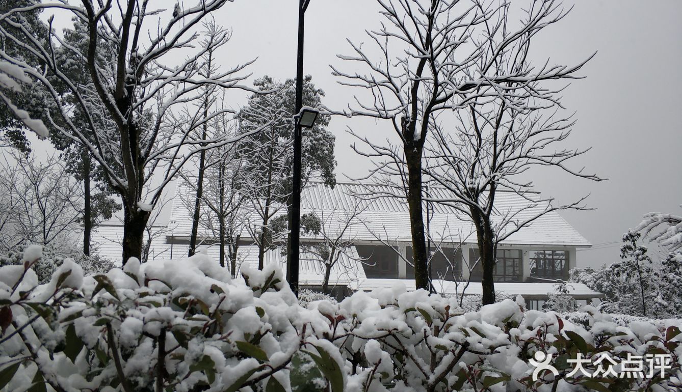 不滑雪也要带滑雪手套，暖宝宝