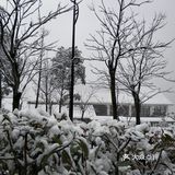 不滑雪也要带滑雪手套，暖宝宝