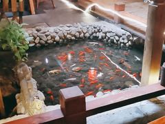 -三道苗苗鱼·美蛙黄辣丁(八里店)