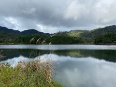 -海南热带雨林国家公园吊罗山景区