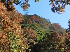 -广州市石门国家森林公园