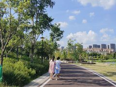 -九龙湖公园