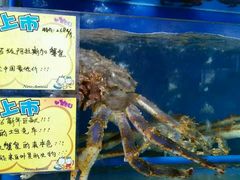 -蚝专家(北滘店)