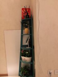 -薇兰专业脱毛连锁机构