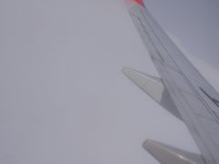 -上海浦东国际机场-T2航站楼