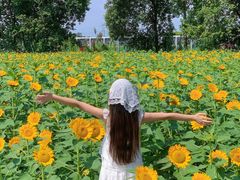 -中国天府农业博览园