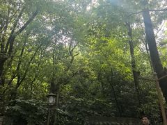 -天目湖山水园