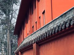 -黔灵山公园