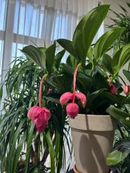 -毛毛虫儿童摄影馆