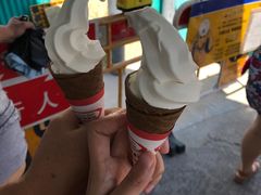 -富豪雪糕车流动点(尖沙咀)