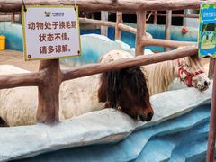 -广州融创文旅城