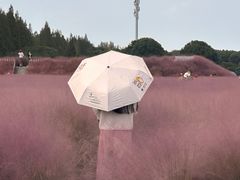 -嘉北郊野公园