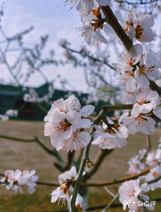 三里河公园图片