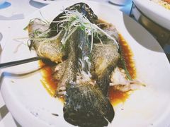 -鱼乐轩(珠江路店)