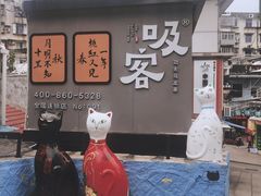 -猫咪博物馆(顶澳仔猫街店)